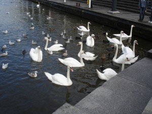 Hamburgo Hamburgo